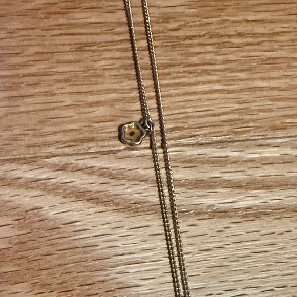 Premier Design Matthew 17:20 Elegant Necklace with Mustard seed - Picture 6 of 7